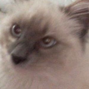 Meet your Posher, Brianna